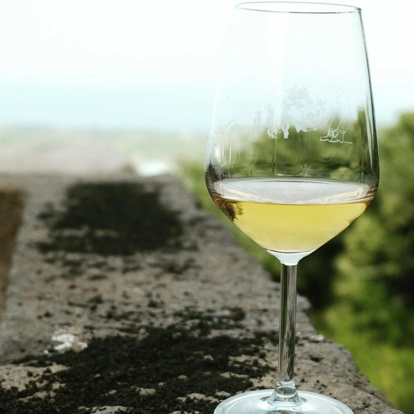 sicily wine tourism